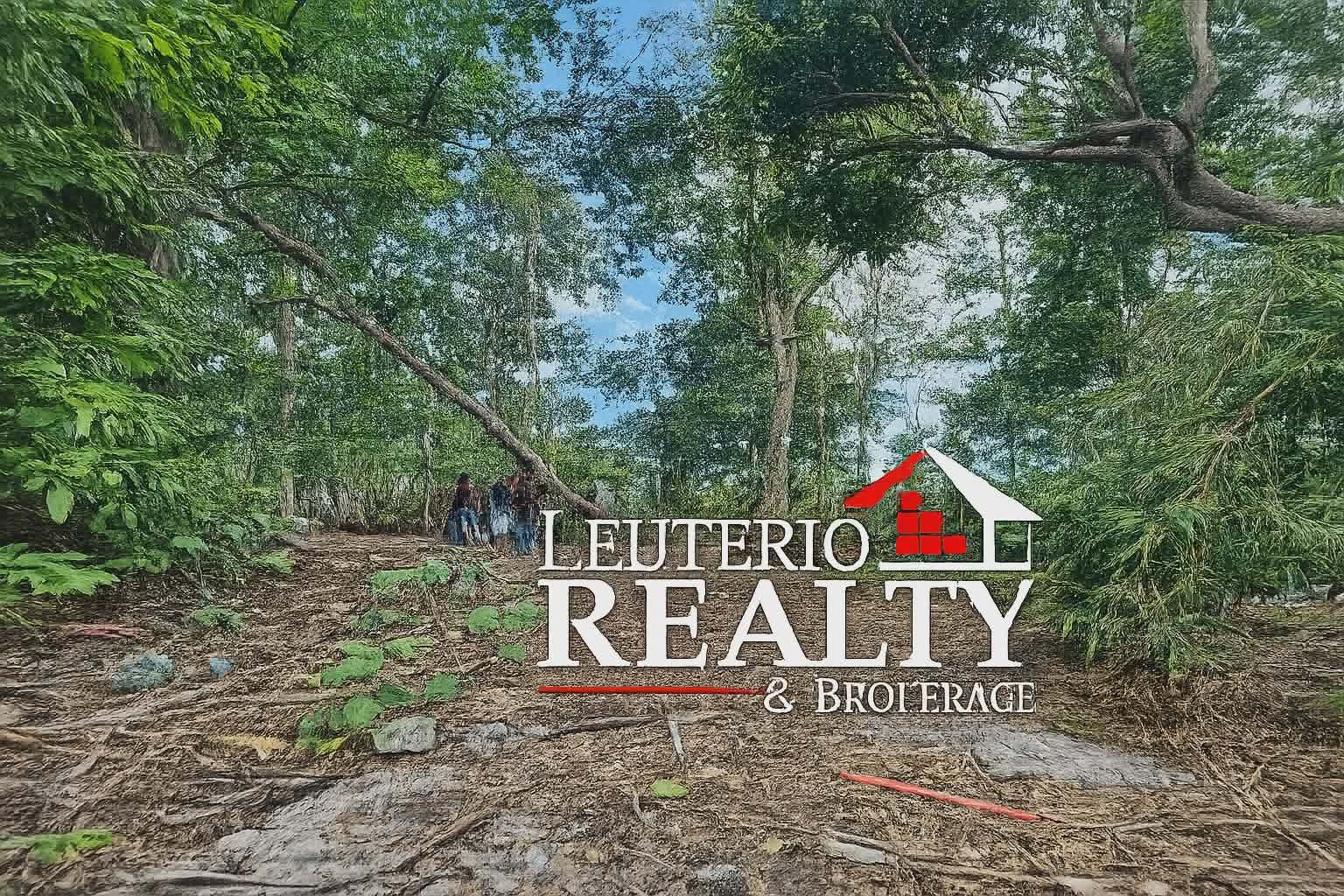 Lot For Sale! in Bicol — real estate listing image 3