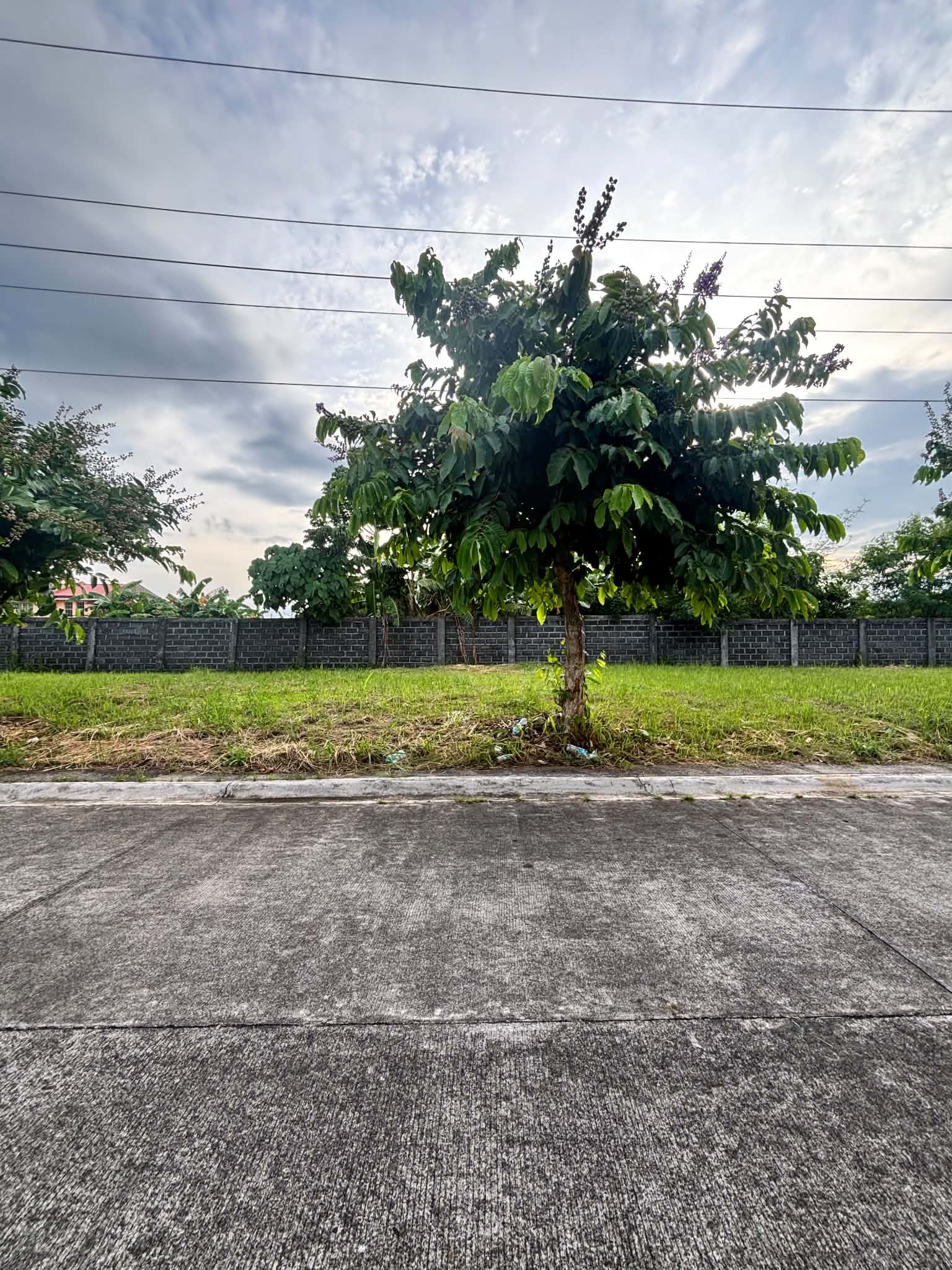 Residential Lot for Sale! in Bicol — real estate listing image 2