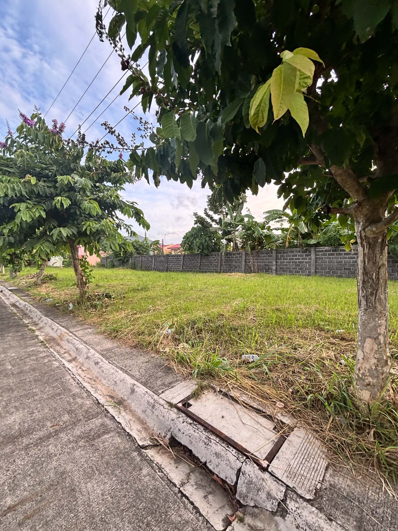 Residential Lot for Sale! in Bicol — real estate listing image 3