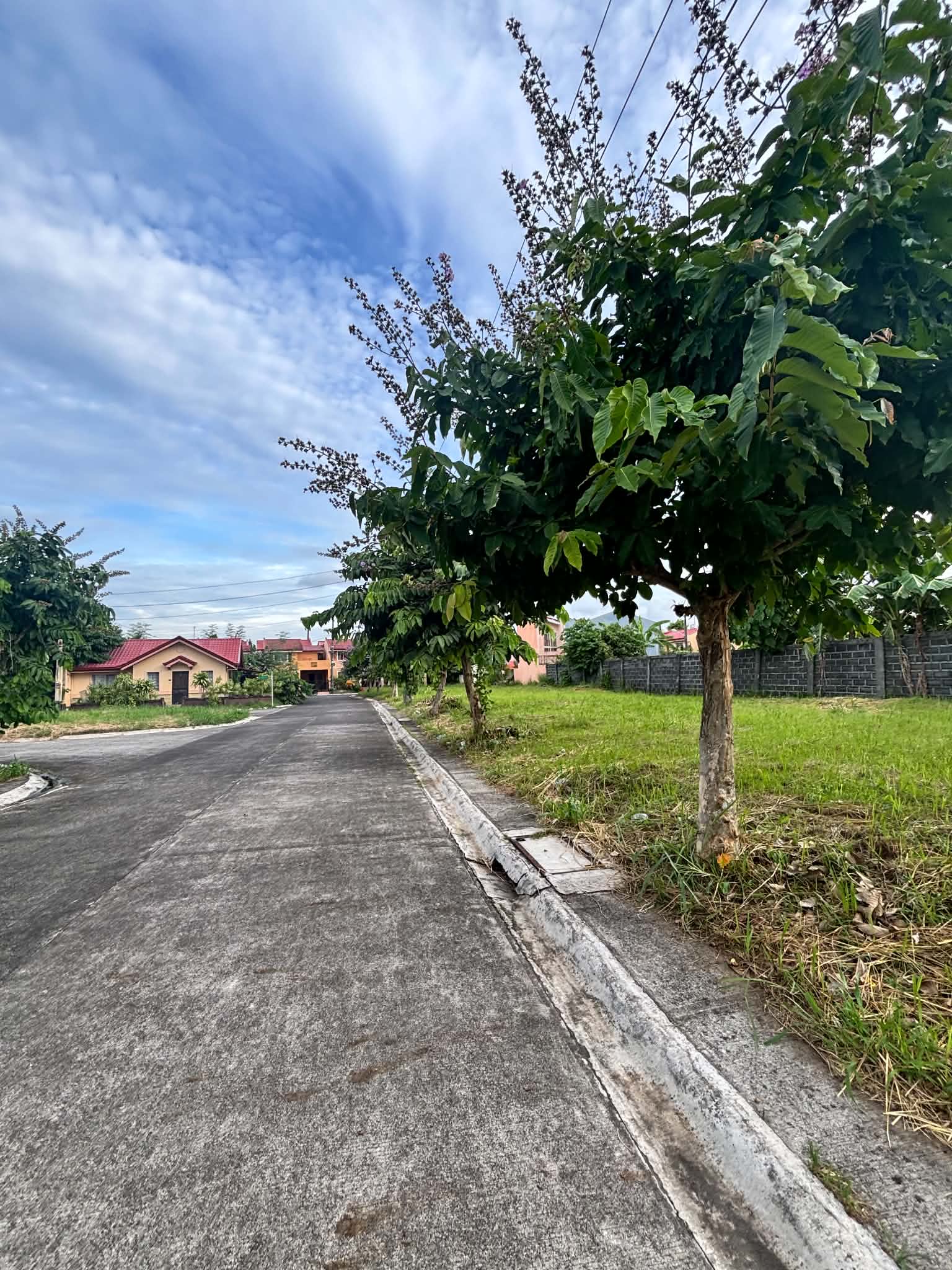 Residential Lot for Sale! in Bicol — real estate listing image 4