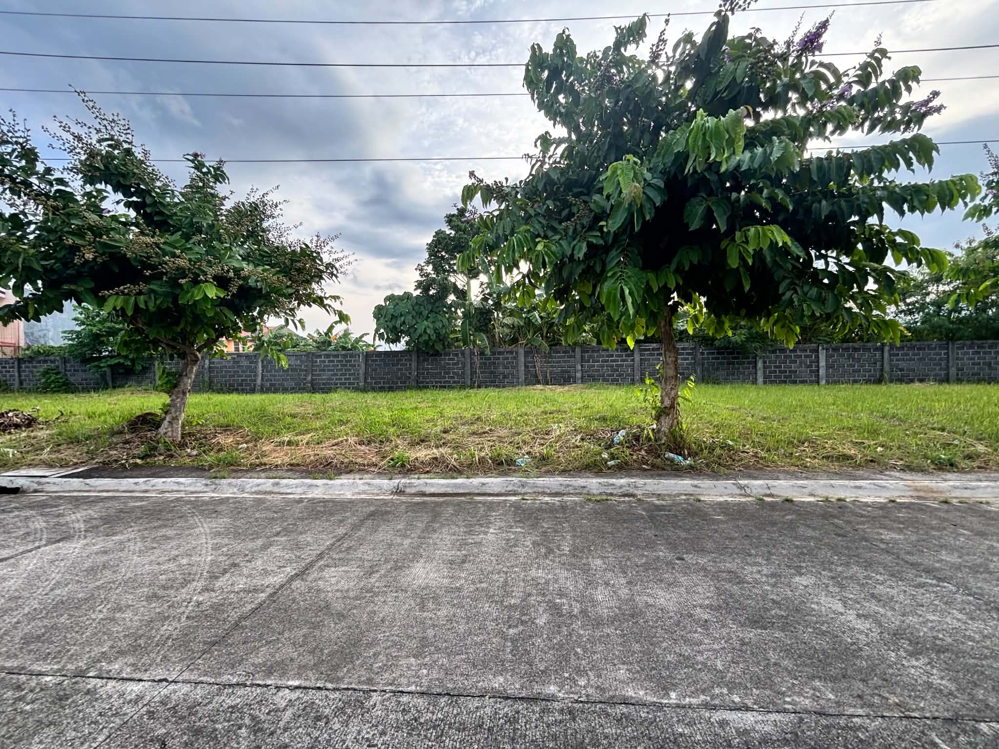 Residential Lot for Sale! in Bicol — real estate listing image 5