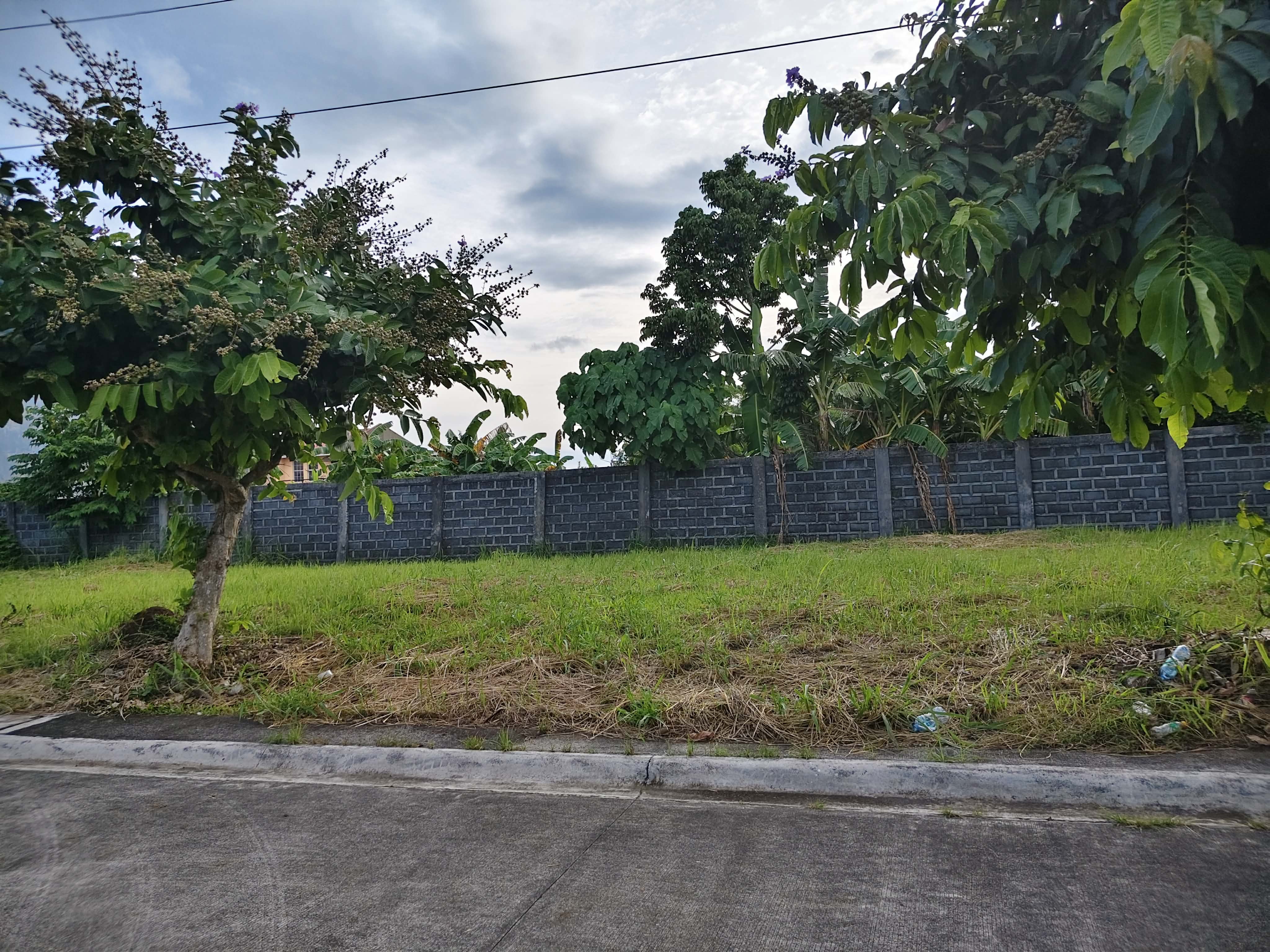 Residential Lot for Sale! in Bicol — real estate listing image 6