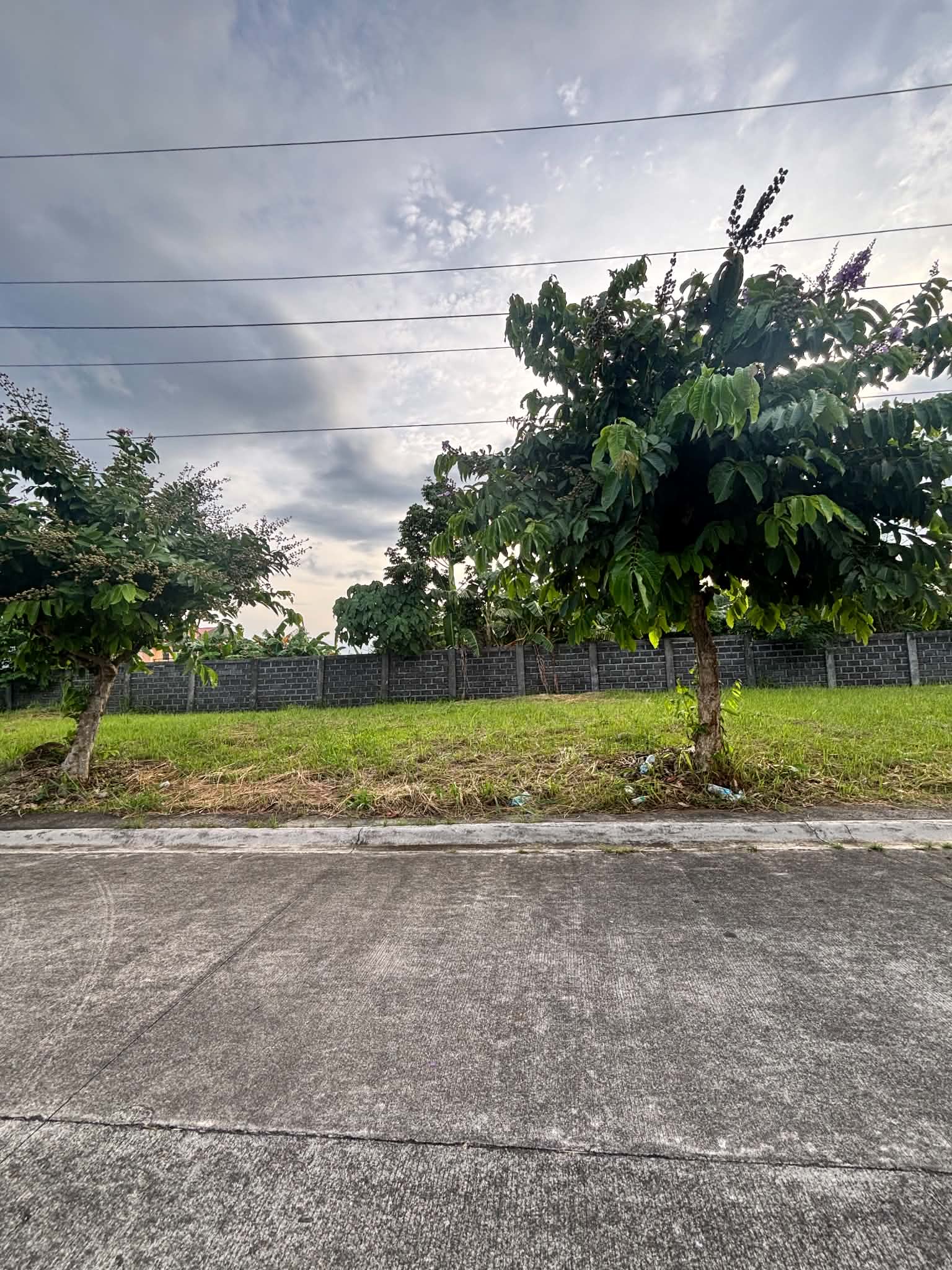 Residential Lot for Sale! in Bicol — real estate listing image 7