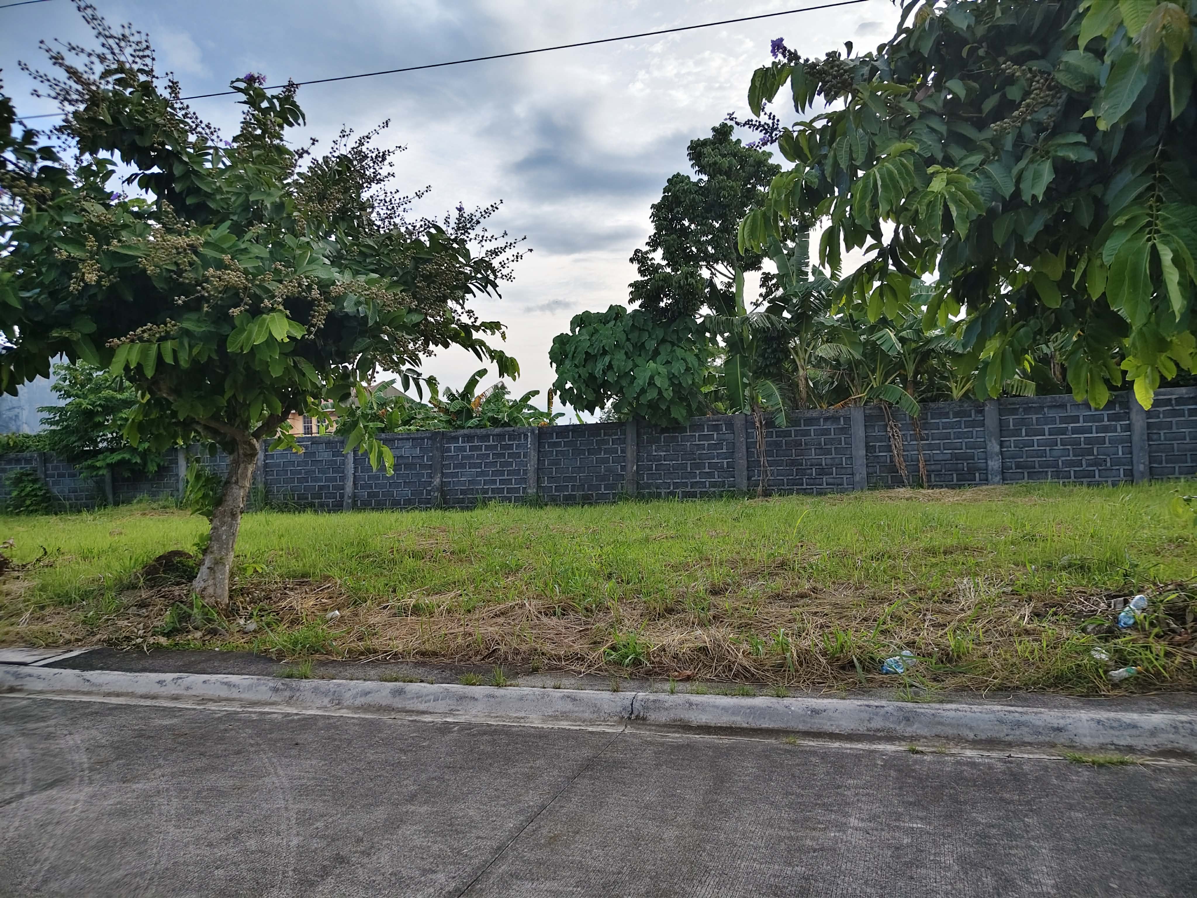 Residential Lot for Sale! in Bicol — real estate listing image 8